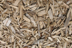 biomass boilers Ceredigion